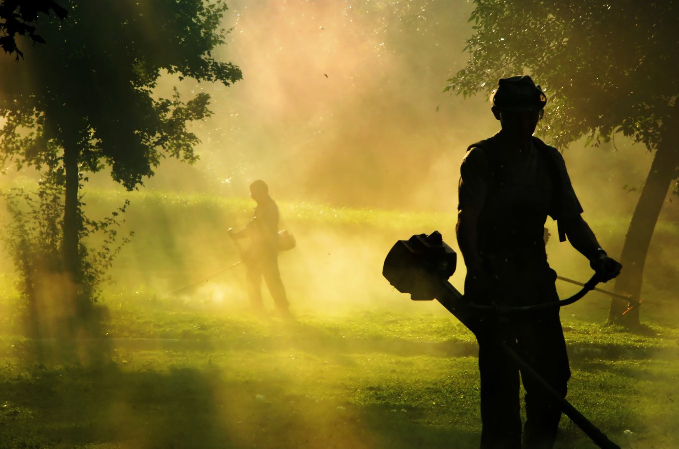 Silhoutten von Gartenarbeitern, die gerade den Rasen mit einem Rasentrimmer schneiden